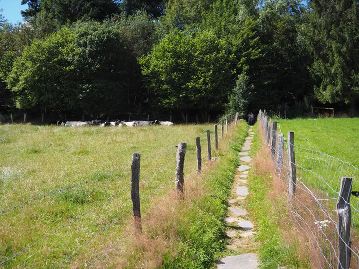 Ferme de la Planche (Blote voeten pad) (België)